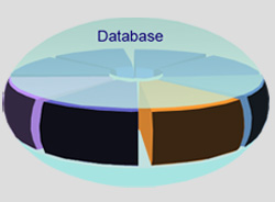 Data Management